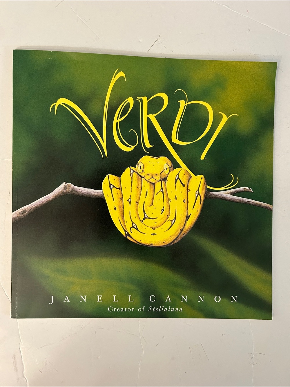 🎃5/$25 Verdi Illustrated Book Cover - Bright Yellow Snake on Green